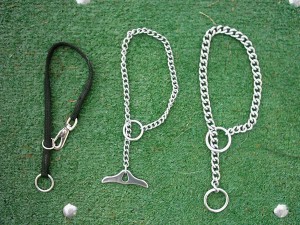 dog training collars