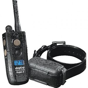 Using an electronic dog training collar