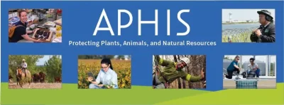USDA APHIS