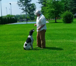 Dog Obedience Training with Linda Kaim and Lionheart K9