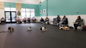 Linda Kaim Dog Training Seminar Minnesota 2020