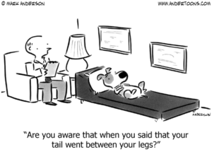 Dog Behaviorist vs Dog Trainer