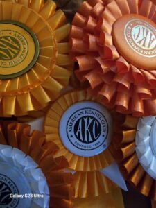 AKC performance ribbons for hunt test