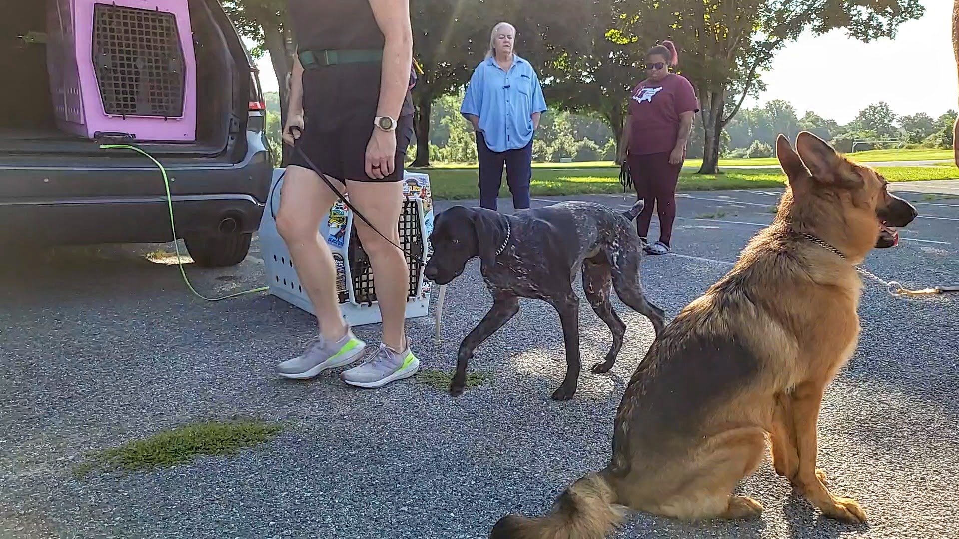 Dog Obedience Training class with Lionheart K9 in Maryland