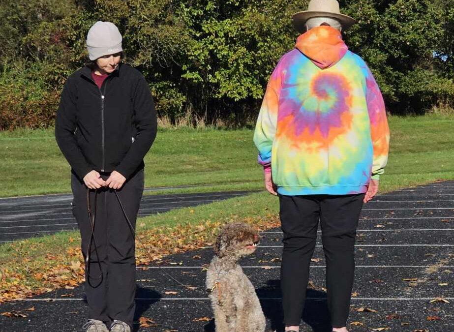 Positive Reinforcement