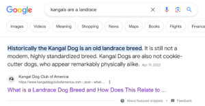 Kangals are a landrace, not a breed