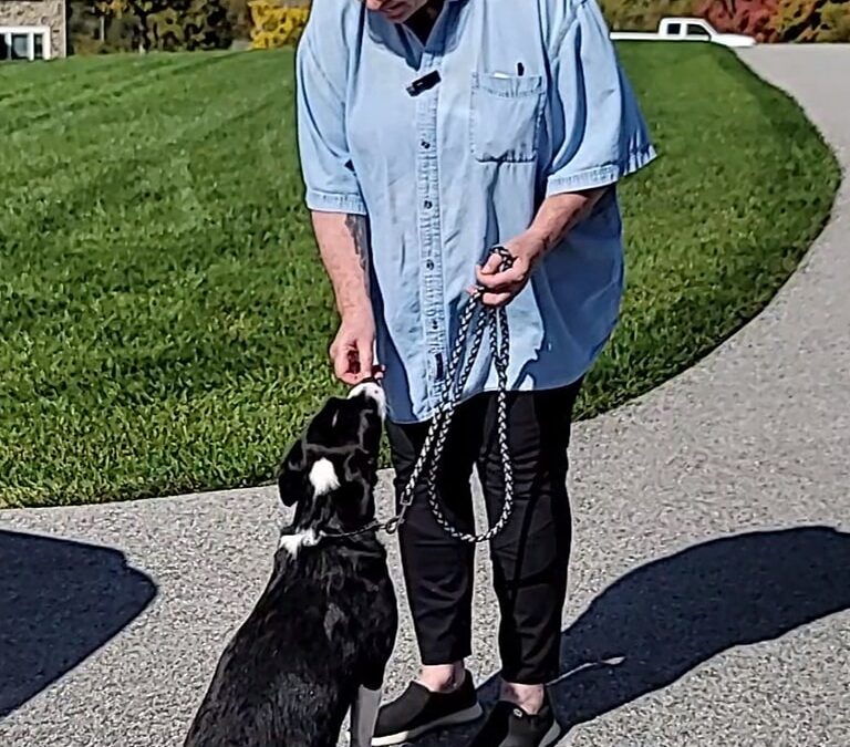 How to train a reliable recall