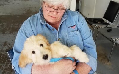 Crate Training for Self-Control: How Managing Arousal Creates a Calm, Focused Dog