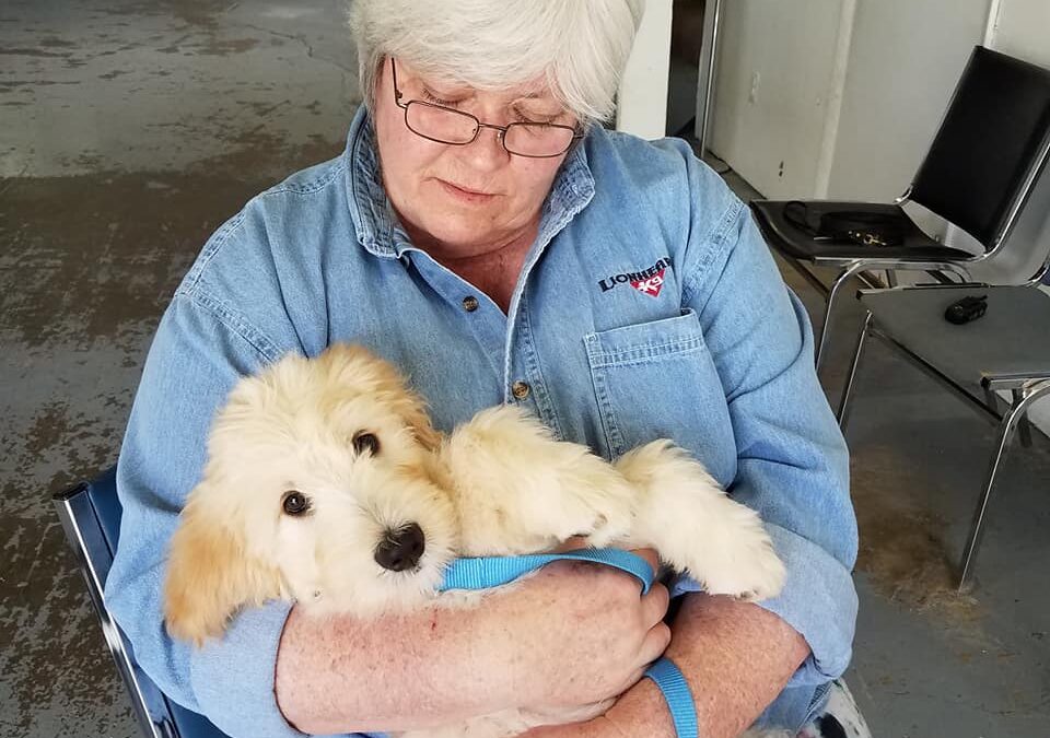 Crate Training for Self-Control: How Managing Arousal Creates a Calm, Focused Dog