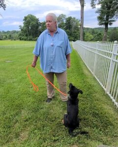 Quiet hands on the leash ensure a calm dog