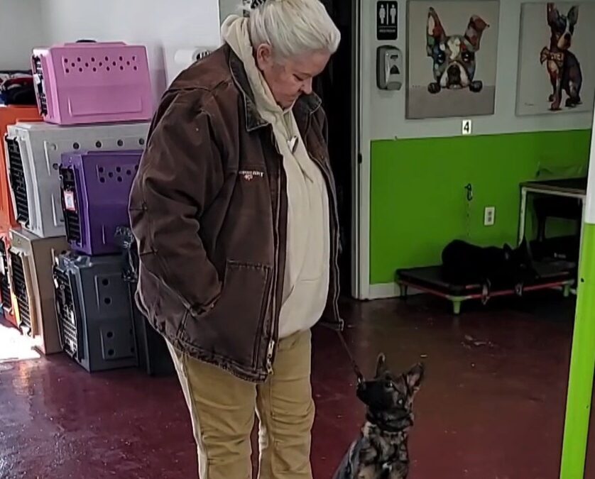 Basic VS Foundational Dog Obedience