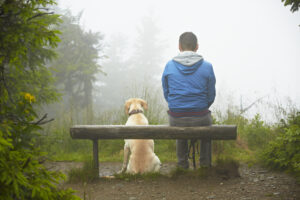 relationships with dogs