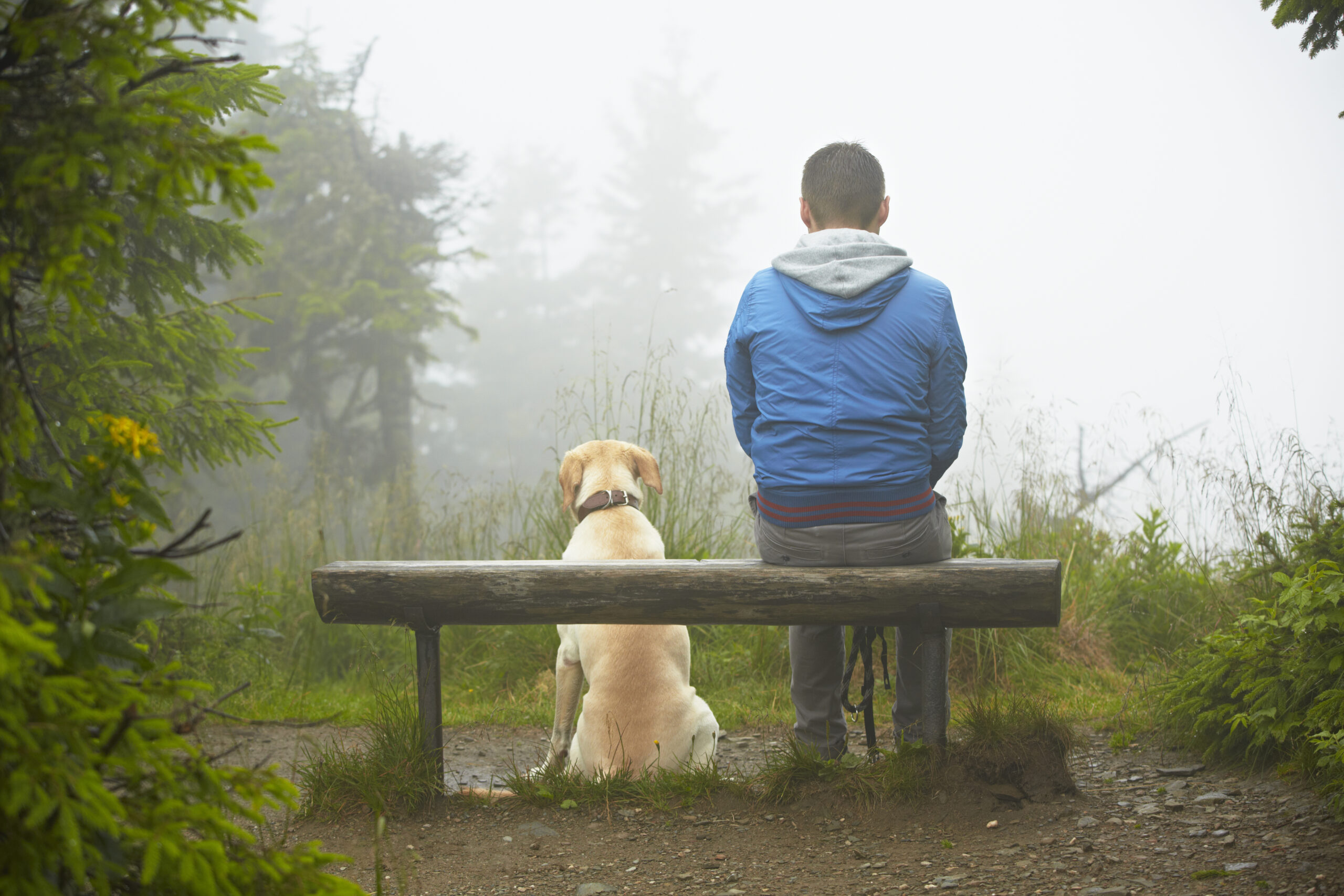 Relationships with Dogs