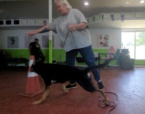Eris learning directional casting