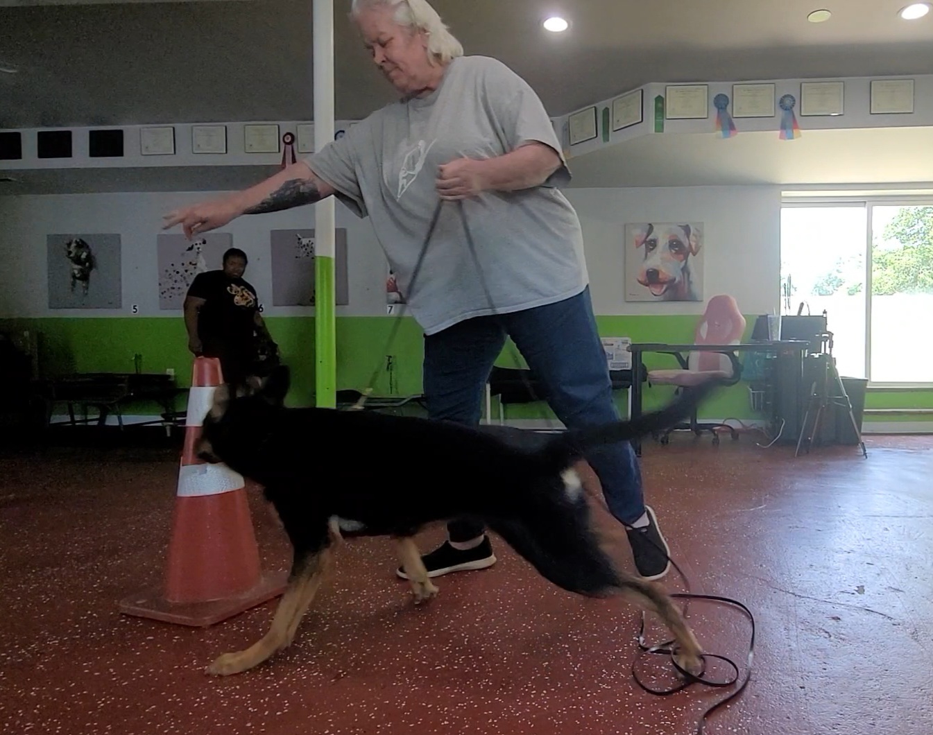 Working Dogs