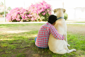 Training your dog fosters a powerful bond