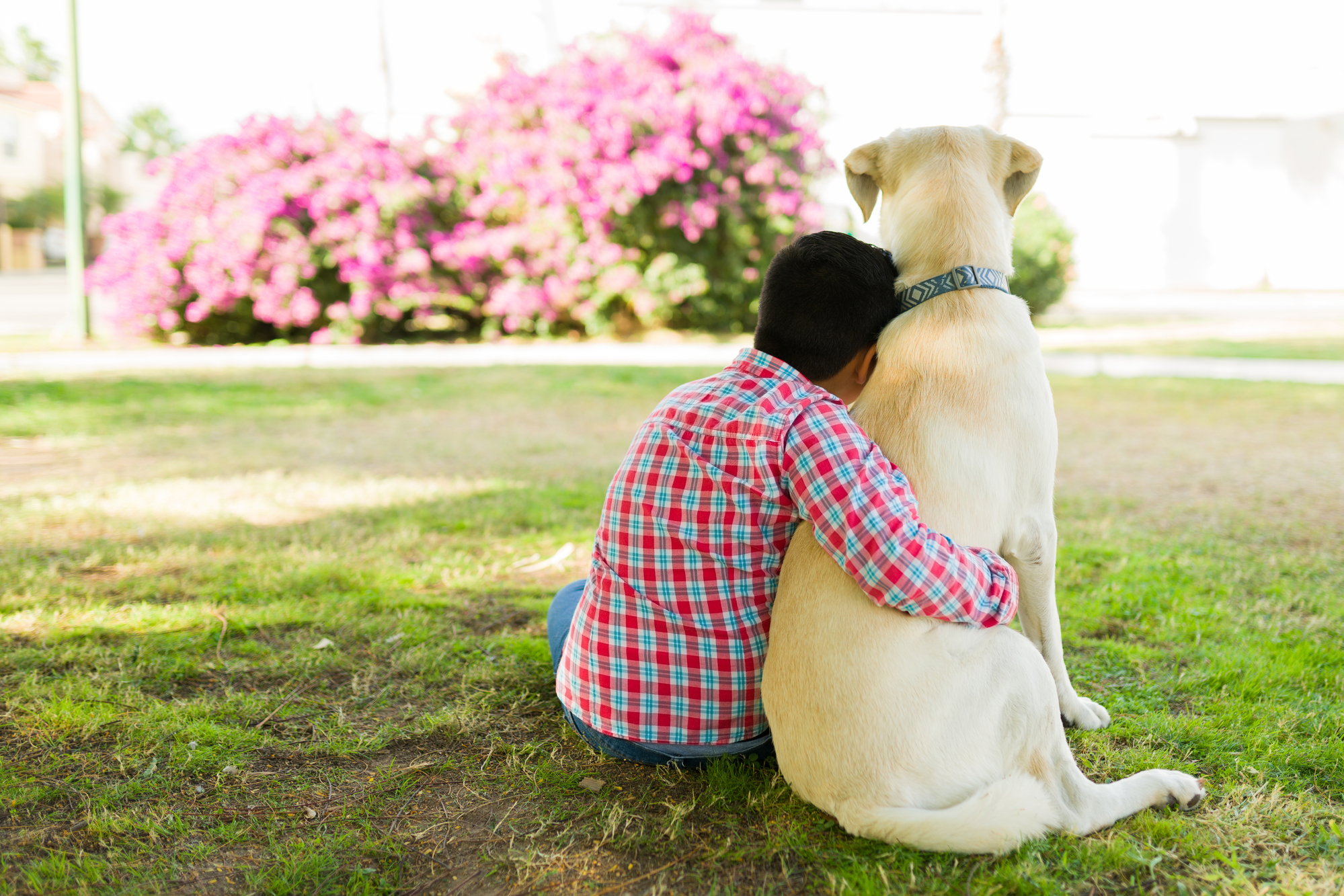 Training builds the bond