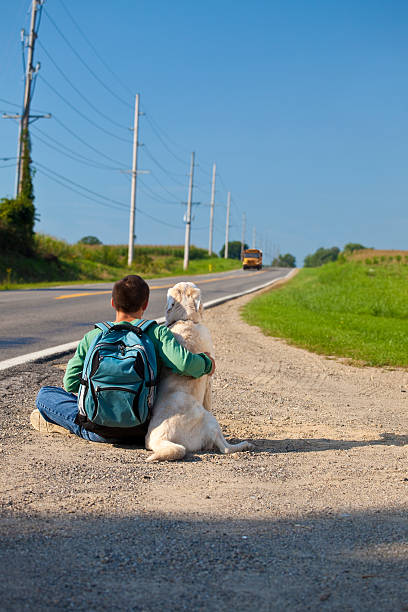 Back-to-School Dog Training