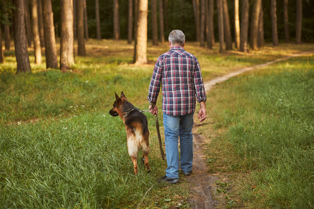 Choosing the Right Dog in Retirement