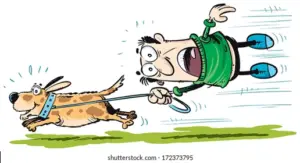 why doesn't my dog listen to me?