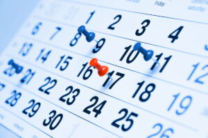 Companion Dog Daily Training Schedule