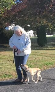 Complete Companion Dog Training Program
